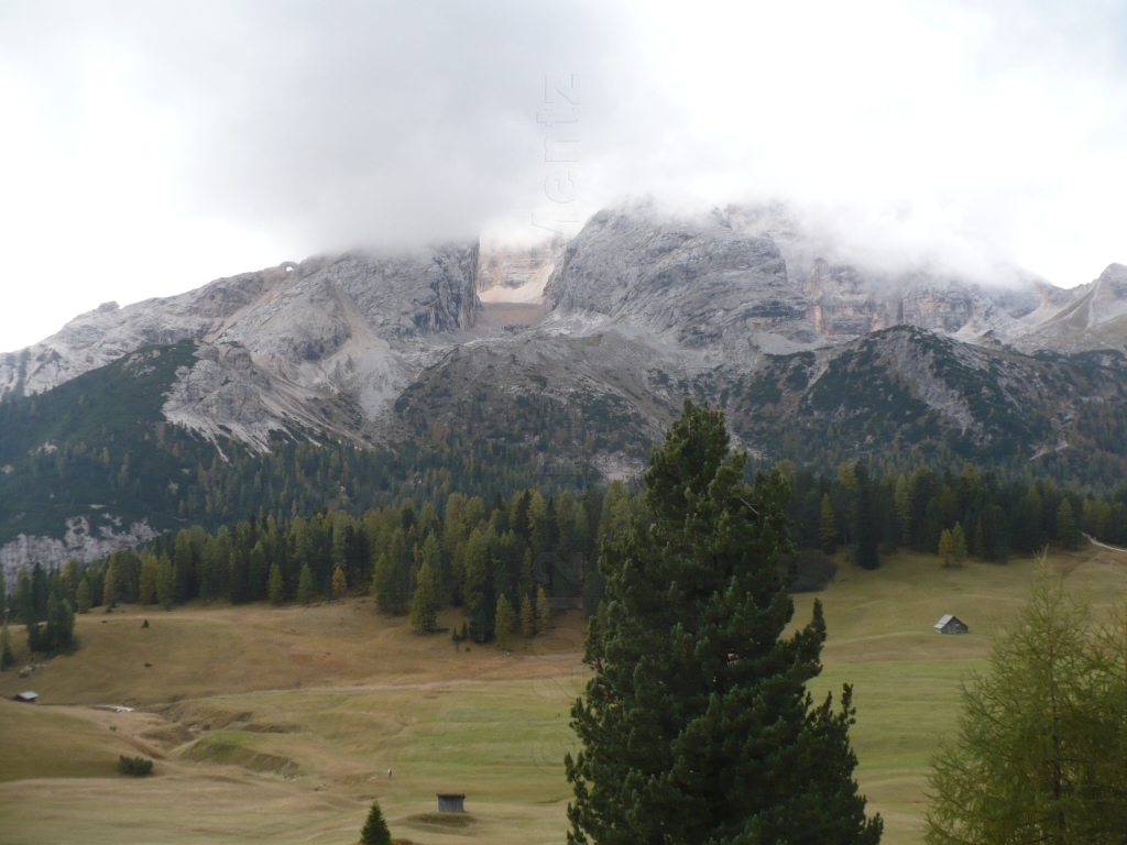 Images/3 Suedtirol_ Ploetzwiese (163).jpg